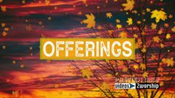 Tree And Flying Leaves Autumn Offerings Loop