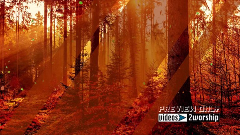Read more about the article Red Autumn Forest Falling Leaves Background