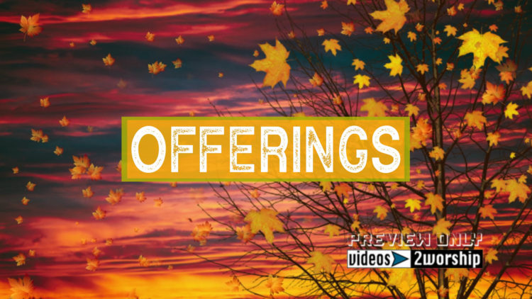 Still: Fall Offerings Title