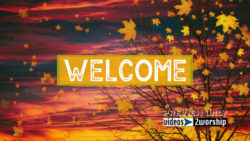 Read more about the article Still: Fall Tree Welcome