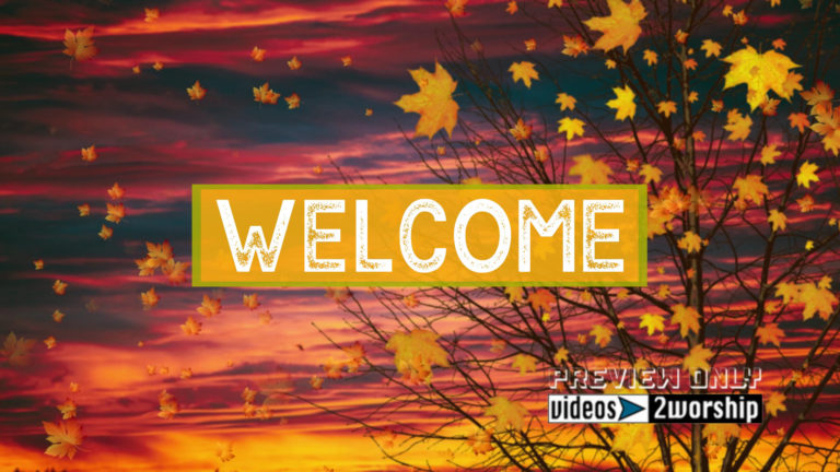 Read more about the article Tree And Flying Leaves Fall Welcome Text