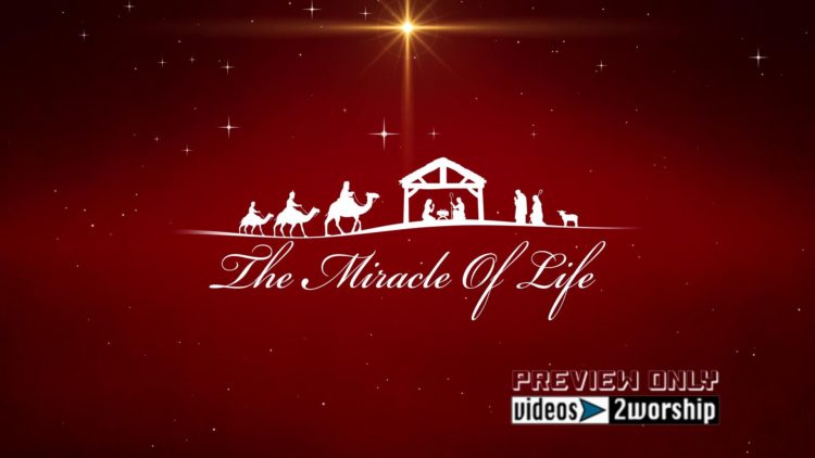 Miracle Of Life Christmas Worship Graphics