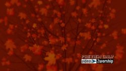 Read more about the article Title Ready Large Leaves Motion Background