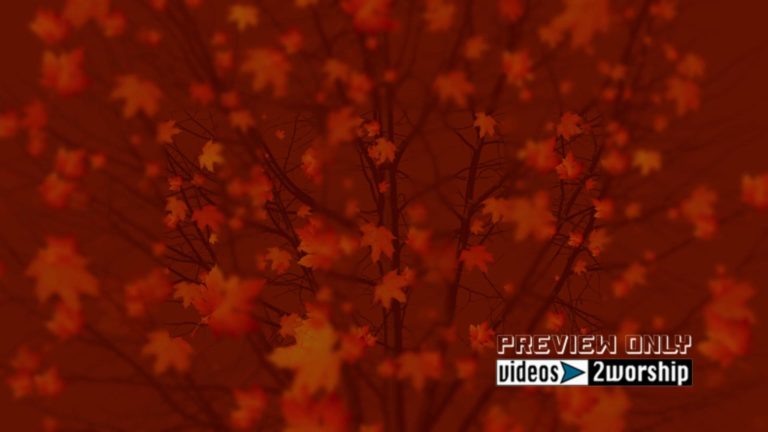 Read more about the article Title Ready Large Leaves Motion Background