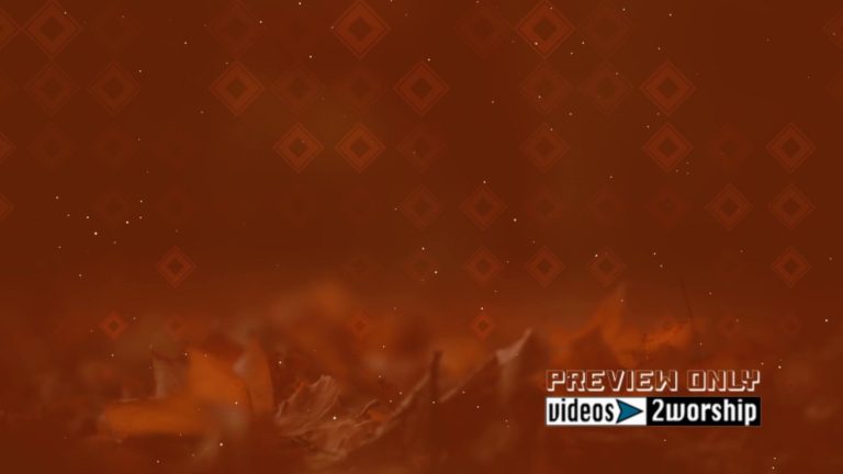 Read more about the article Free Thanksgiving Motion Graphics Loop