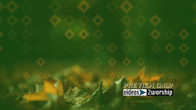 Read more about the article Green And Gold Thanksgiving Motion