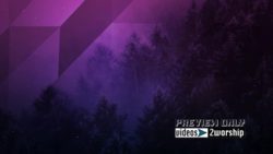 Read more about the article Winter Holidays Motion Graphics Video