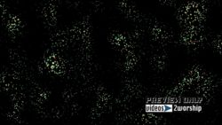 Read more about the article Colorful Particle Waves Motion Graphics