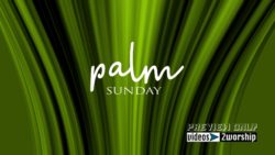 Read more about the article Palm Sunday Text Graphics Motion Loop