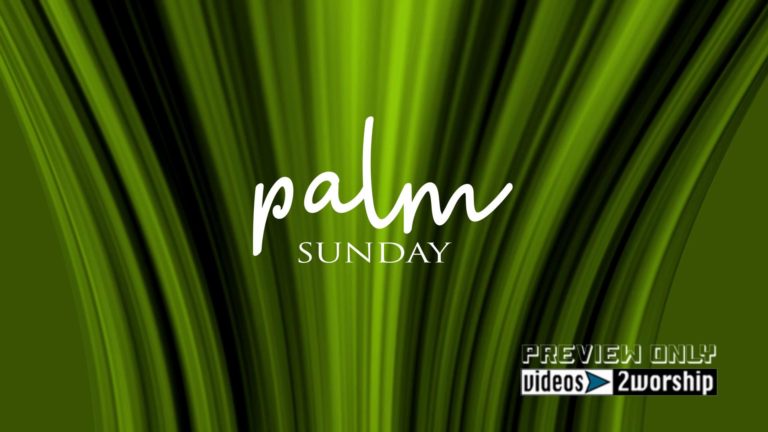 Read more about the article Palm Sunday Text Graphics Motion Loop