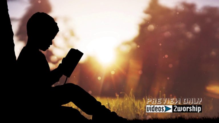 Read more about the article Child Reading The Bible Motion Background