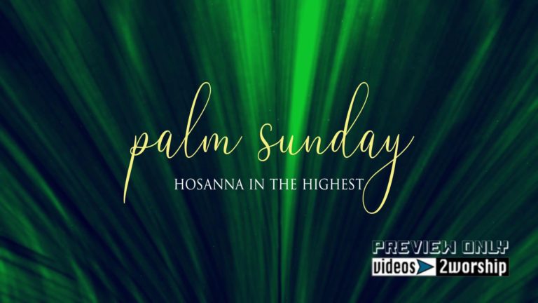 Read more about the article Hosanna In The Highest Palm Sunday