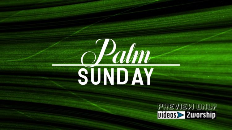 Title Background For Palm Sunday Worship