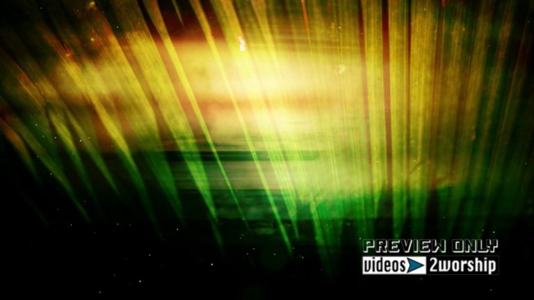 Read more about the article Worship Background For Palm Sunday