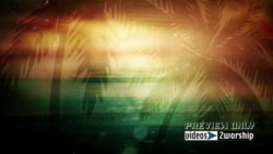 Read more about the article Palm Trees Motion Worship Graphics Video