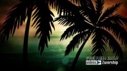 Read more about the article Palm Trees Silhouettes Motion Worship Video