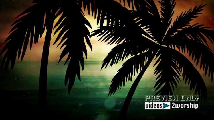 Palm Trees Silhouettes Motion Worship Video