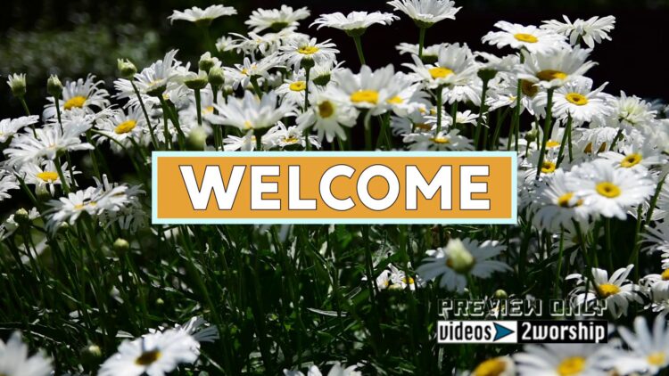 Daisies Flowers Welcome Title Backdrop