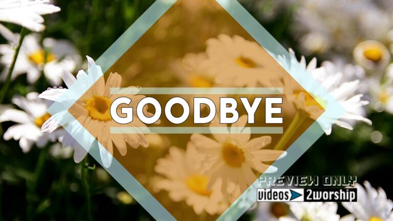 Read more about the article Goodbye Text Over Garden Of Daisies