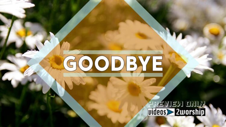 Goodbye Text Over Garden Of Daisies