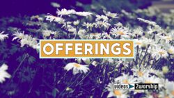 Read more about the article Offerings Title Motion Over Garden Flowers