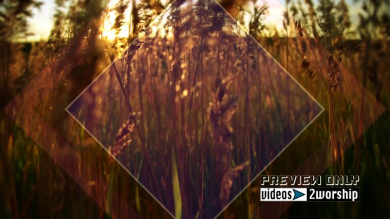 Read more about the article Tall Grass Free Motion Worship Background