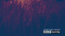 Read more about the article Summer Sunset Motion Worship Background