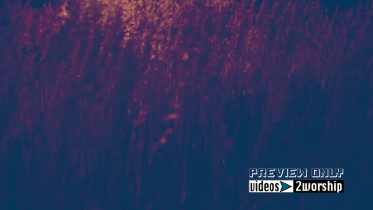 Read more about the article Summer Sunset Motion Worship Background