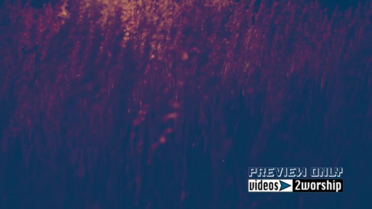 Summer Sunset Motion Worship Background