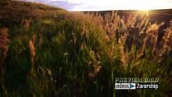 Read more about the article Beautiful Sunset Worship Motion Background