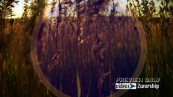 Read more about the article Nature Worship Background Video Loop