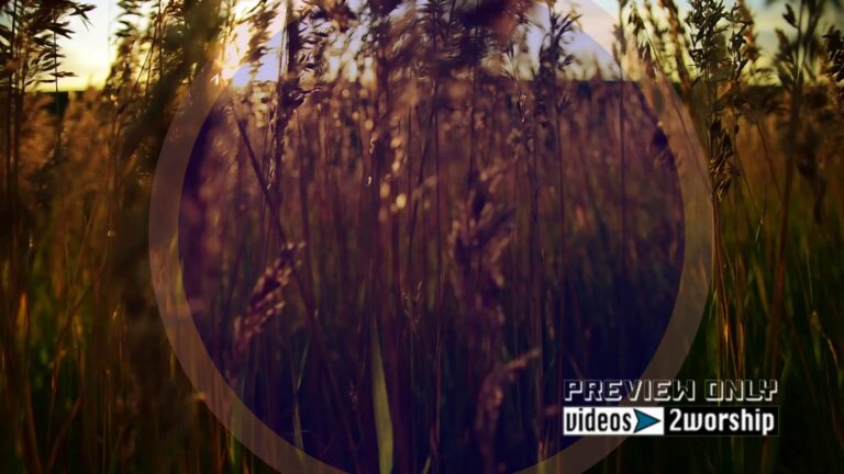 Read more about the article Nature Worship Background Video Loop