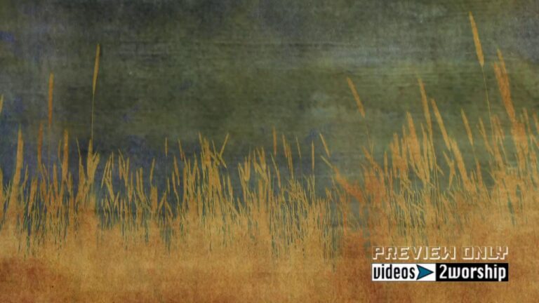 Read more about the article Wheat And Clouds Autumn Video