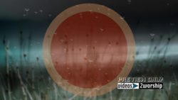 Read more about the article Still: Flying Dandelions