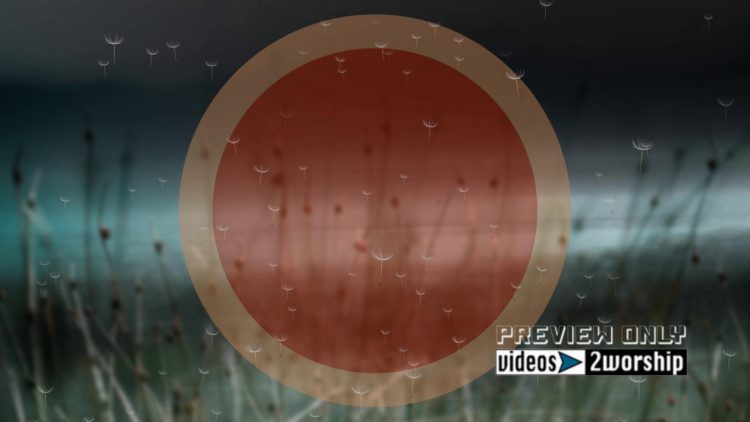 Still: Flying Dandelions