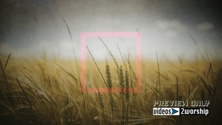 Read more about the article Wheat Field Church Motion Worship Loop