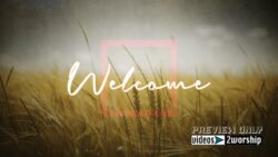 Read more about the article Still: Autumn Welcome