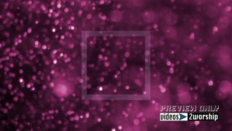 Still: Winter Holidays