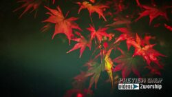 Read more about the article Fall Colorful Leaves Motion Worship