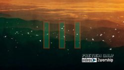 Read more about the article Still: Birds And Shapes