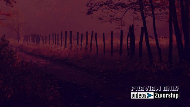 Read more about the article Free Autumn Forest Motion Worship