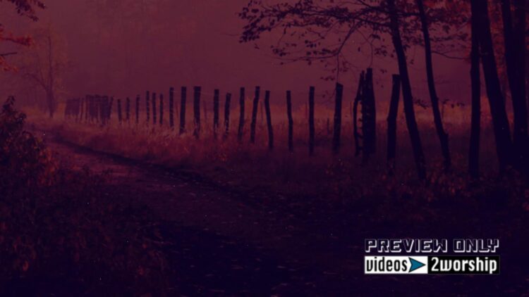 Free Autumn Forest Motion Worship