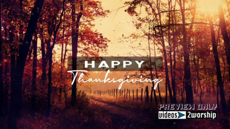 Read more about the article Happy Thanksgiving Text And Fall Trees