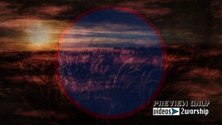 Still: Textured Night