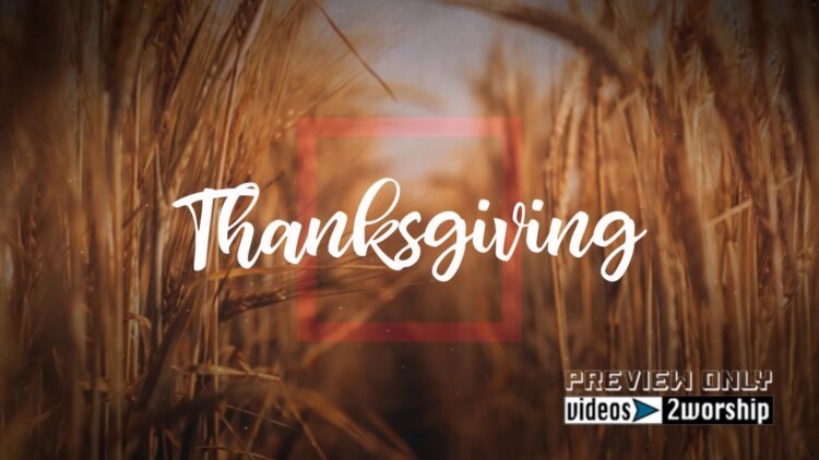 Still: Thanksgiving Text