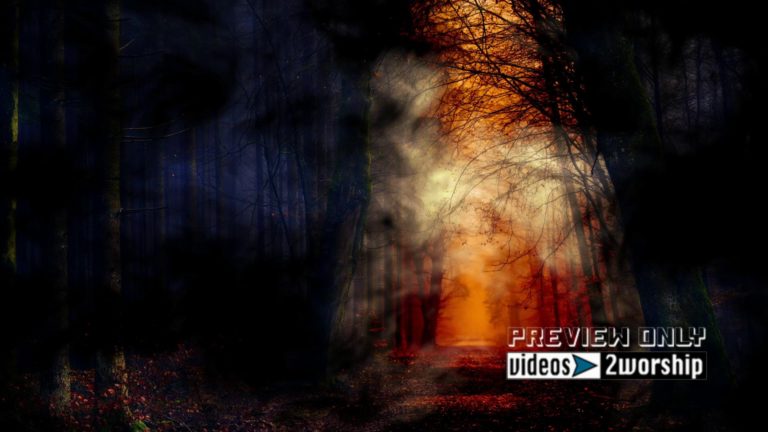 Read more about the article Free Autumn Foggy Forest Background Loop