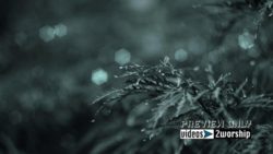 Read more about the article Still: Cold Winter