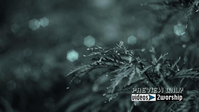 Read more about the article Still: Cold Winter