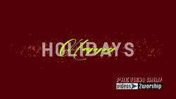 Read more about the article Happy Holidays Text And Stars Graphics