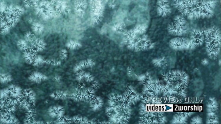 Still: Winter Frost
